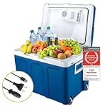 TZS First Austria elektrische Kühlbox 45 Liter | mit USB-Anschluss | 12 Volt & 230 Volt Anschluss | mobiler Minikühlschrank mit Rollen | für Auto, Camping, Festivals & Reisen | mit Warmhaltefunktion