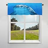 TropicalLife Niedlicher Delfin Vorhang Volant für Fenster Kleiner Vorhang Halbe Fenster Vorhänge mit Stangentasche für Café Bad Küche Wohnzimmer Dekor, 106x45 cm