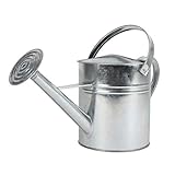 Spetebo Zink Gießkanne - 5 Liter - Garten Giesskanne Metall Blumengießkanne für Innen und Außen