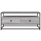 Tidyard TV-Schrank TV-Ständer Lowboard TV Möbel Fernsehschrank Fernsehtisch TV Board Fernsehmöbel HiFi Schrank Medienschrank Stereo-Schrank TV Bank 100 x 35 x 45 cm (B x T x H) Mit 2 Schubladen