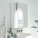 Dripex Badezimmerschrank mit Spiegel, Spiegelschrank Bad mit verstellbarem Einlegeboden, Badspiegelschrank, Weiß 40 x 60 x 12 cm