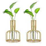 2 Stück Mini Vasen Set Glas Vase Gold Kleine Vasen Für Tischdeko Blumenvase Modern Bud Hydroponic Glasvase Reagenzgläser Für Blumen Hochzeit Wohnzimmer Deko Tablett Tisch Bad Dekoration