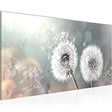 Runa Art Wandbild Pusteblume 1 Teilig Modern Bild auf Vlies Leinwand Wohnzimmer Flur Blumenwiese Türkis Grau 023612b