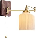 FORTTS Faltbare Wandlampe for Schlafzimmer, verstellbare Schwung Arm Metall Wandleuchte, modernes Wandlicht for Wohnzimmer, Treppe, Garderon (Color : Type B)