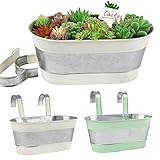 VINFUTUR 4 Stücke Hängeblumentöpfe Blumentöpfe zum Aufhängen mit abnehmbaren Haken Balkon Blumentöpfe Metall Hängende Blumenampel für Balkon Geländer Wand Gartendeko