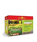 WOLF-Garten | LupiGreen Hybrid-Rasendünger Herbst LU-H 110 für 110m² | Aus Lupinen hergestellter organisch-mineralischer Düngermix; 77AR1011650, Rot