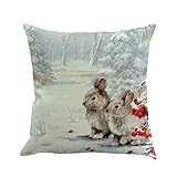 Weihnachtsdekoration, Weihnachts-Druck, Färbung für Sofa, Bett, Heimdekoration, Kissenbezug