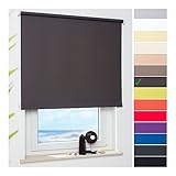 ourdeco® Rollo, Seitenzugrollo | Farbe Cappucino/Tageslicht, lichtdurchlässig | Bestellgröße 242 x 180 cm (BxH)