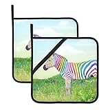 Topflappen, 2er-Set, buntes Zebra, hitzebeständig, Topflappen für Küche, rutschfest, zum Kochen, Backen, Hot Pad, 20,5 x 20,5 cm