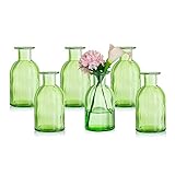 Glasseam Kleine Vasen Set Glasvase, 6 Stück Mini Blumenvase Grün Vintage Vase Glas Rund Glasvasen Flaschenvase Bunt Klein Geriffelte Tischvase Vasenset Glasflasche Deko für Hochzeit Tischdeko