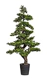 Bonsai Teeblatt 150x70cm GA künstlicher Baum Kunstbaum Kunstpflanzen Dekobaum
