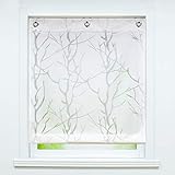 Delien Voile Raffrollo ohne Bohren mit Ösen Transparente Ausbrenner Gardine Küche Raffgardine Kurz Rolls Vorhang »Äste« Ösenrollo Schals Modern Fenster Gardinen BxH 60x140cm,Weiß