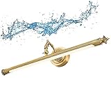 Dimmbare LED-Spiegelleuchte, Bildleuchte für Badezimmer, moderne Badezimmerlampe, Nachttisch-Leselampe, wasserdichtes Licht, Antibeschlag-Wandlampe für Badezimmer, Arbeitszimmer, antikes Messing, 10
