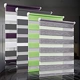 bobodeco Doppelrollo klemmfix ohne Bohren Duo Rollos für Fenster mit Klemmträger, Fensterrollo lichtdurchlässig & verdunkelnd Wandmontage Sichtschutz- Dunkelgrau, 75x200cm (BxH)