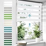 Doppelrollo schnurlos Klemmfix ohne Bohren Duo Rollos für Fenster & Tür, 110x150cm (BxH) Weiß, Drücken Und Ziehen Springrollos lichtdurchlässig & Blickdicht