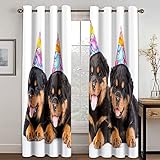 Blickdichter Vorhang 260X280cm(HxB) 3D Schöner Süßer Tierhund Druck Verdunklungsvorhänge 2Er Set Mit Ösen, Thermogardine Für Wohnzimmer Schlafzimmer Fensterdekoration Kinderzimmer Junge Mädchen