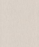 Rasch Tapeten Vliestapete (universell) Beige 10,05 m x 0,53 m #ROCKNROLLE 536164