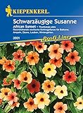 Kiepenkerl 3901 Thunbergia alata Schwarzäugige Susanne African Sunset gelb/rot, Portionssaatgut, Inhalt: 10 Korn (1 Portion)
