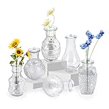 Kleine Vasen für Tischdeko,Kleine Vasen Set 6er Mini Vase Glas Blumenvase Verschiedene Groessen， Modern Schmal Glasvase Tischdeko Fur Blumen Deko Wohnzimmer Bad