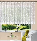 Gardine Store Jacquard Mainz HxB 145x300 cm Kräuselband Universalband Weiß Blumenmuster Transparent Vorhang Wohnzimmer, 13144