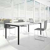 Weber Büroleben GmbH Profi Besprechungstisch 200x100cm NOVA U 4-8 Pers. Konferenztisch Meetingtisch, Gestellfarbe:Anthrazit