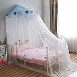 Bettvorhänge, Himmelbett, Prinzessinnen-Betthimmel, Mädchen, niedliche Raumdekoration, Moskitonetz, Bettdekoration für King-Size- und große Queen-Size-Betten (Größe: 1,8 x 2,2 m, Farbe: Blau