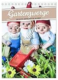 Gartenzwerge: Die rote Zipfelmütze im Beet (Tischkalender 2024 DIN A5 hoch), CALVENDO Monatskalender