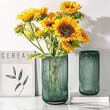 Arawat 2er Vase Glas Grün Blumenvase Set Glasvase Deko Wohnzimmer Modern 25cm & 20cm Tulpenvase Aesthetic Vase für Blumen Pampasgras Dekorative Vasen Nordische Vase Blumenvase Modern Grün Glas Vasen