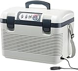 Xcase Elektrokühlbox: Thermoelektrische Kühl-/Wärmebox, LED-Anzeige, 12/24 & 230 V, 19 Liter (12 Volt Kühlbox)