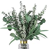 12Pc Eukalyptus Getrocknet: Eukalyptus Deko Eukalyptus Getrocknet Echt 3 Arten gemischte Eukalyptuszweige Eukalyptus Pflanze Natürliche Trockenblumen Eukalyptusblätter für Hochzeit Haus Balkon Deko