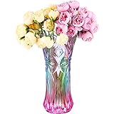 Veemoon 1 Stück Glas Blume Vase Große Größe Regenbogen Bunte Phoenix Schwanzform Blume Vase Pflanze Container Dekorative Vase Für Wohnkultur Desktop