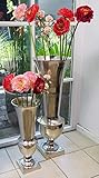 Michael Noll Vase Blumenvase Gefäß Pokalvase Dekovase Aluminium Silber Aluminium - Bodenvase für Kunstblumen und Pampasgras - 52 cm / 80 cm (20x20x52 cm)