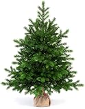 EveXmas- Altair -95cm- Hochwertiger künstlicher Weihnachtsbaum – Einfach zu montieren Wunderschöne Baumspitzen aus 100% PE - Sehr natürlich aussehender Baum