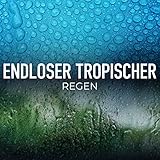 Reinigung des Vordachs Regenfall