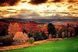 VLIES Fototapete-WALD-(3026JM)-500x280 cm-Foto-Kunst Bäume Holz Birken Forst Hain Tann Lichtung Natur Herbst Weg See Landschaft Panorama Wandtapete