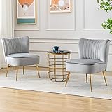 Wahson Samt Sessel Wohnzimmer 2er Set moderner Loungesessel Geplosterter Ohrensessel mit goldenen Metallbeine für Wohnzimmer/Schlafzimmer, Grau