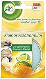 Air Wick Kleiner Frischehelfer Citrus – Gel-Lufterfrischer für kleine Räume, Schuhschränke, Mülleimer-Deckel u.a. – 6 x 30g