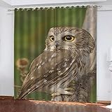 ONDIAN ösenvorhang 265 x 243 cm(104 x 95.6 inch) Blickdichte Vorhänge Verdunkelungsvorhänge mit Schlaufen für Schlafzimmer, Thermogardine Gardinen 2 Set