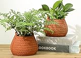 Dheureka Terrakotta-Korb Blumentopf für Zimmerpflanzen, 15.2 cm Blumentöpfe, kleine gewebte Pflanzkörbe, Hängekörbe für Pflanzen im Freien, Terrakotta-Farbe, 2-teiliges Set