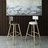 LOCZEK Stuhl Bar Stuhldinnerstühle Heigh Barstool Moderne Zeitgenössische Dining -Caf -Stühle Mit Samtsitz Und Rückenlehne Metalleisen Finish/65 cm