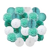 Kinder Junge Bar Mitzwa Party Favor Marineblau Weiß Runde Papierkugel Laterne Set Mädchen 1. Geburtstag Taufe Hochzeit Dekor Fan-Mint Set, 25,4 cm (ca. 25 cm) - M