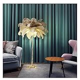 AAMNA Natürliche Straußenfeder-Stehlampe für Wohnzimmer, Schlafzimmer, einfache Moderne Stehlampe, dreifarbig, dimmbar, Elegante Mädchen-Schlafzimmerlampe