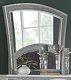 ACME Furniture 21804 Mirror, Platinum