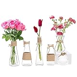 Winter Shore Kleine Vasen für Tischdeko [6er-Pack] - Blumenvase Vintage Verschiedene Formen - Tischvasen Klein mit Rutschfestem Boden & Braunem Seil - Rustikale Vasen Klein Tischdeko & Hochzeitsdeko