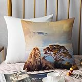 kissenbezüge 45x45cm,Afrika-Löwe, der im Gras auf Savanne bei Sonnenuntergang-Safari-wild leb,Deko Kissenbezug für Wohnzimmer Büro Garten Sofa, Polyester Zierkissenbezug mit unsichtbarem Reißverschluß