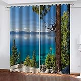 GSKOQD Verdunkelungsvorhang Kinderzimmer Vorhänge Blickdicht 240X230Cm (B X H) 3D Digitaldruck Blaue Seenlandschaft Ösenschal 2Er Set Vorhang Wohnzimmer Schlafzimmer Thermogardine