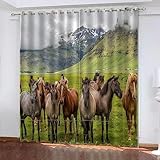 3D Verdunkelungsvorhang Tierisches Pferd Schwerer Verdunkelungsvorhang Thermovorhang Lichtdicht Für Wohnzimmer Schlafzimmer Küche Kinderzimmer Junge Mädchen Zimmer 2 X 140 X 160 cm (B X H)