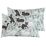 2Er Set Kissenbezüge Schwarze Weiße Katzen Sofakissen Wohnkultur Weiche Bett Kissenbezüge, Für Bett, Sofa, 40X60Cm