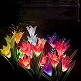 NOALED Solar-Blumenlichter – 2 Lilienblüten-Gartenlichter, Solar-Weihnachtslichter, Gartenstecker für Außendekoration, Urlaubsbeleuchtung für Terrasse, Weg, Hof