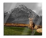 Einsames Rentier vor Berglandschaft B&W Detail Herdabdeckplatte & Spritzschutz aus Echtglas | Für Herd-Kochfelder | 60x52 cm